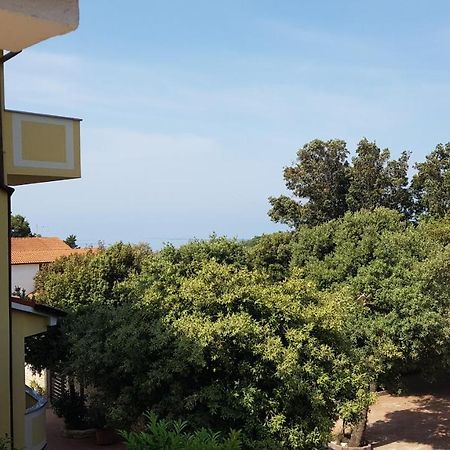 Premium Appartments Suha Punta Kampor Kültér fotó